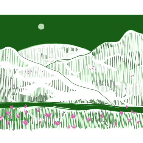 Untitled - 25 June 2026 14.29 9
